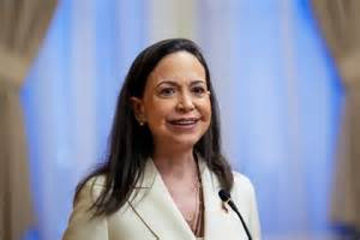 Alina Machado Bio, Age, Husband, NBC 6, CNN, Twitter