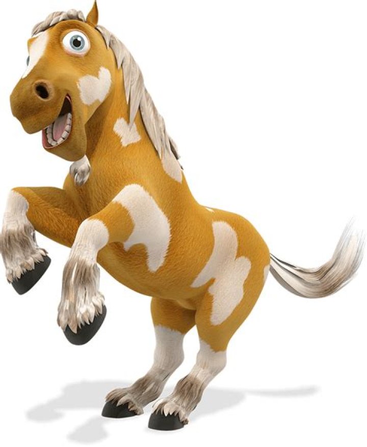 Ana D. Zenon Net Worth, Income, Salary, Earnings, Biography