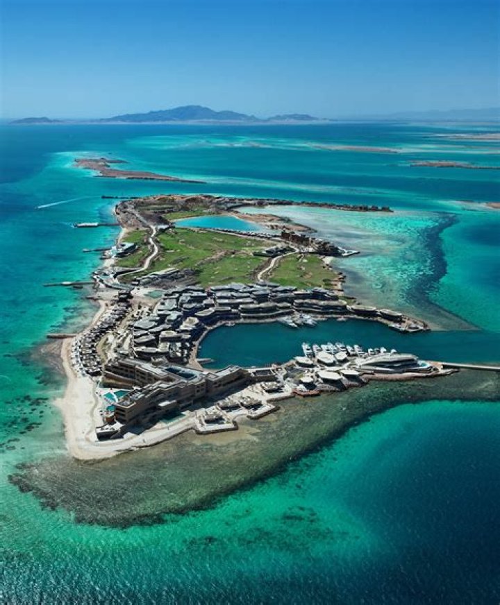 Archiva 81: Dina Shihabi Age Wikipedia – Meet Her Parents Nadia And Ali Shihabi