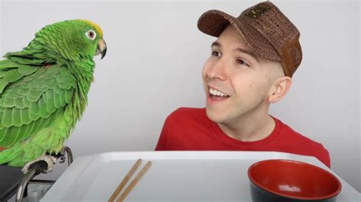 Does Nikocado Avocado Have A Diabetes? Details On His Illness Explained