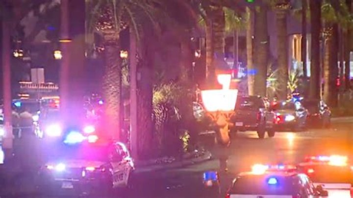 Nathan Tannenbaum Biography, Age, Wife, Las Vegas and Net Worth