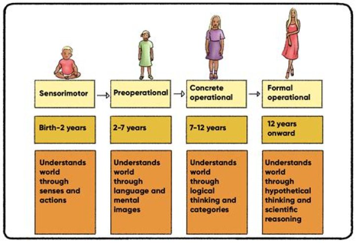 What are the four characteristics of dna