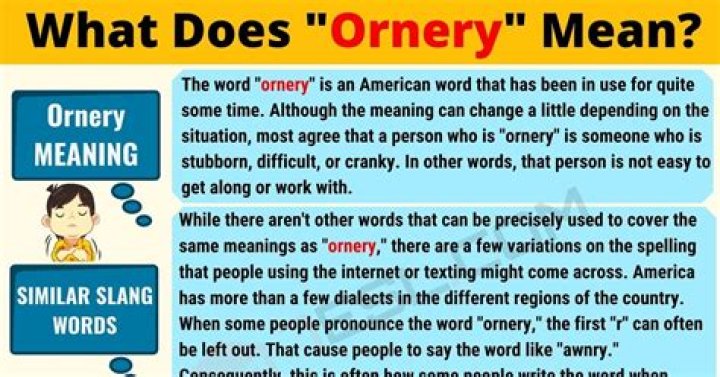 What does ornery mean