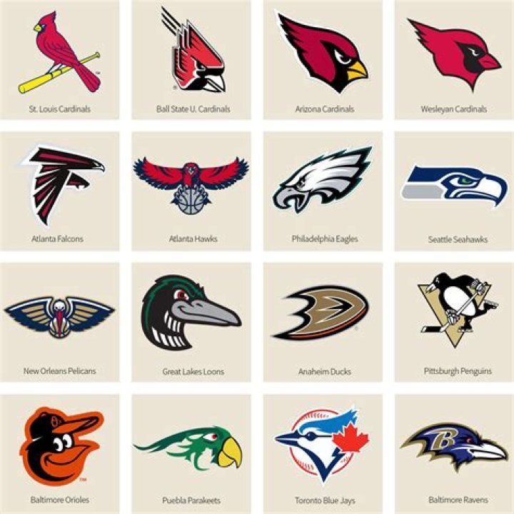 What football team has a bird logo