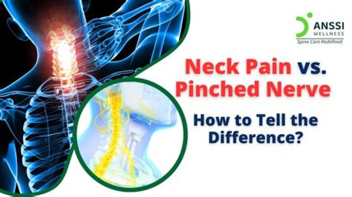 What is the Difference Between Pinched Nerve and Pulled Muscle