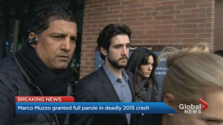 Where Does Marco Muzzo Live? Family Business And Facts To Know