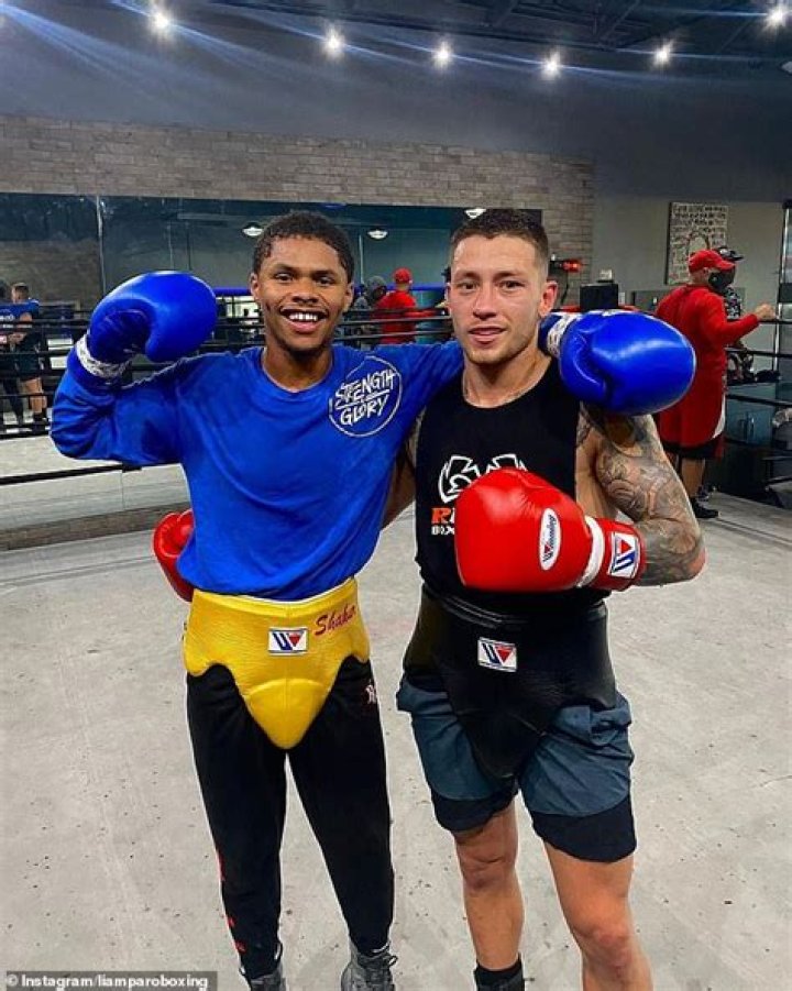 Who Is Liam Paro? Age And Wikipedia Details To Know About The Australian Pro Boxer