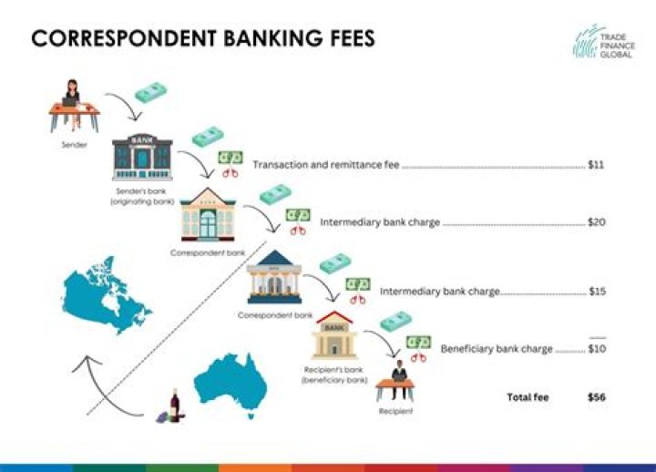 Who Is Nida Ibrahim? West Bank Correspondent For Al Jazeera Wiki