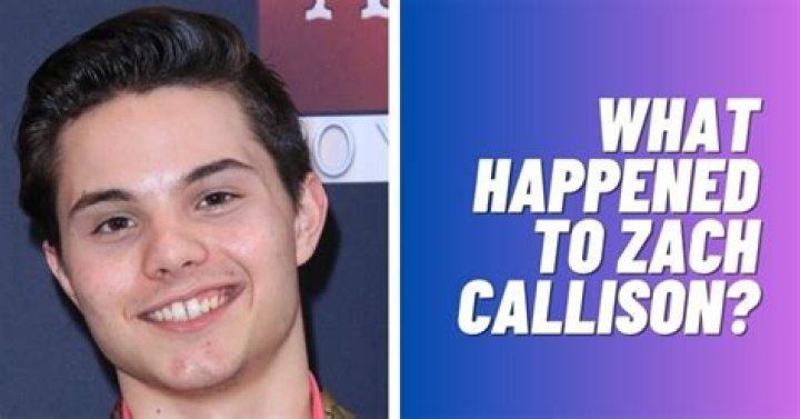 Zach Callison Net Worth, Income, Salary, Earnings, Biography