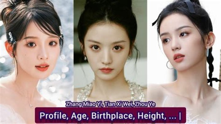 Zhang Shuai Net Worth, Age, Height, Ranking, Where Does Zhang Shuai Live?